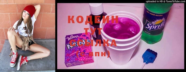 спиды Пересвет