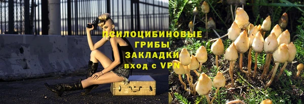 соль ск Богданович
