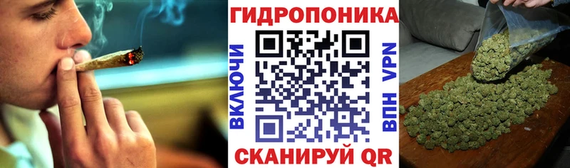 Шишки марихуана марихуана  Микунь 